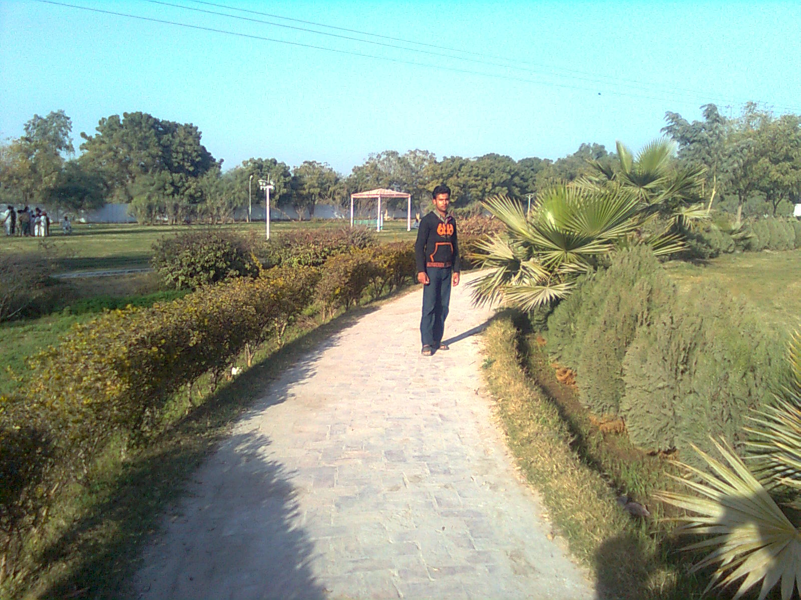 zeeshan azam in koth mithan park